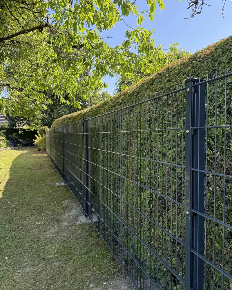Neu gesetzter Metallzaun mit Hecke als Sichtschutz an der Grundstücksgrenze